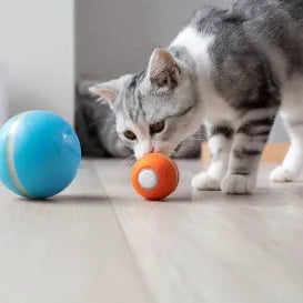 Pet Rolling Cat Toy