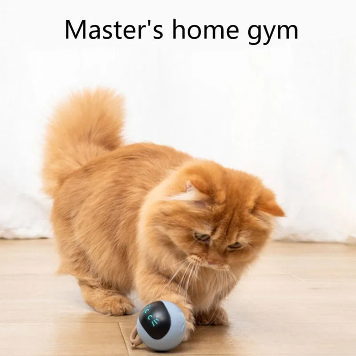 
https://purrfectlypetty.org › products › automatic-smart-cat-toy-usb-interactive-electric-jumping-ball-self-rotating-toys-rolling-jumping-ball-for-pet-kitten-dog-kids