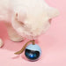 
https://purrfectlypetty.org › products › automatic-smart-cat-toy-usb-interactive-electric-jumping-ball-self-rotating-toys-rolling-jumping-ball-for-pet-kitten-dog-kids