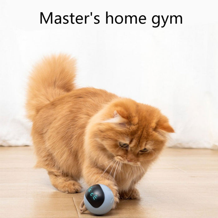 Automatic Smart Cat Toy