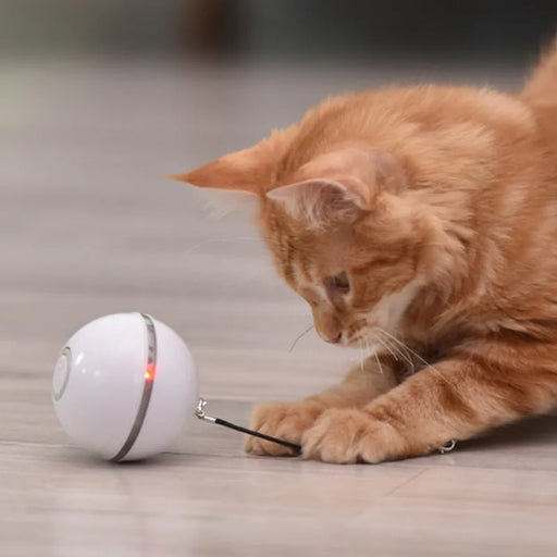 
https://purrfectlypetty.org › products › electric-pet-ball-toys-colorful-led-rolling-flash-ball-toy-for-cat-with-feather-usb-rechargeable-cat-toy-for-puppy-cats-dogs