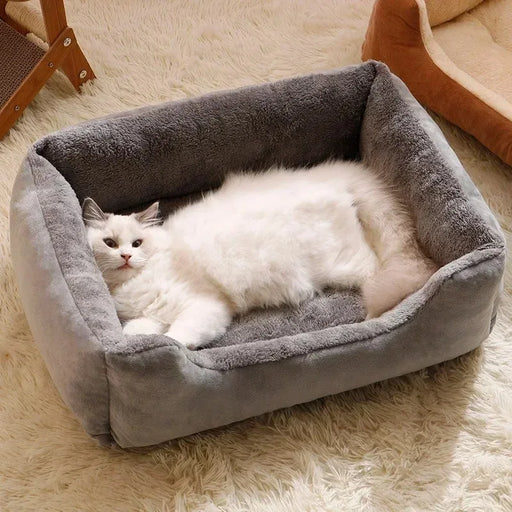 
https://purrfectlypetty.org › products › bed-for-cats-pet-products-cushions-kitten-goods-accessories-dog-all-houses-supplies-things-accessory-habitats-basket-house-beds