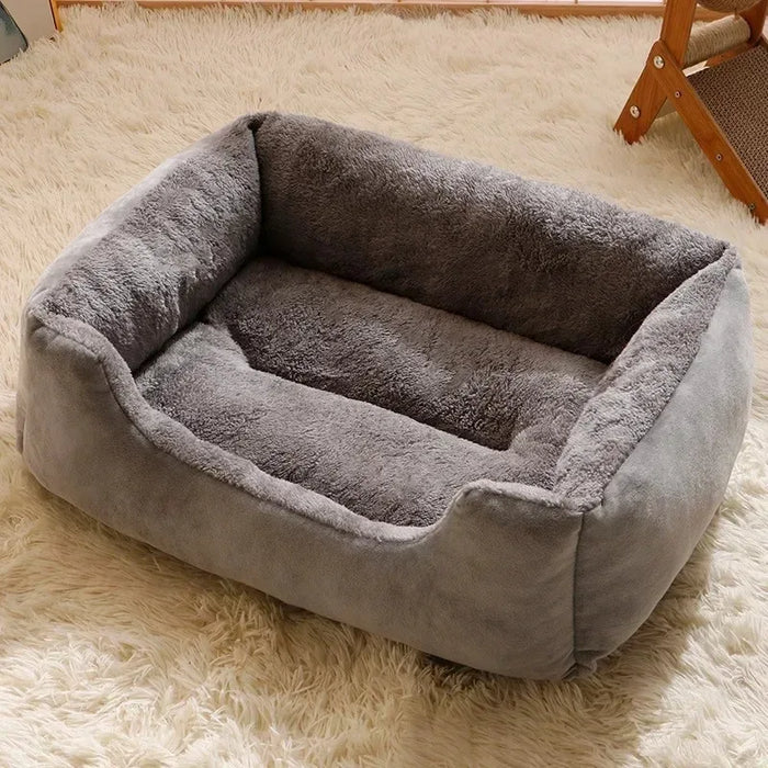 
https://purrfectlypetty.org › products › bed-for-cats-pet-products-cushions-kitten-goods-accessories-dog-all-houses-supplies-things-accessory-habitats-basket-house-beds