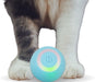 
https://purrfectlypetty.org › products › smart-cat-toy-gravity-smart-rolling-ball-indoor-interactive-cat-toy-automatic-pet-sports-toy-cat-toy-automatic-cat-toy