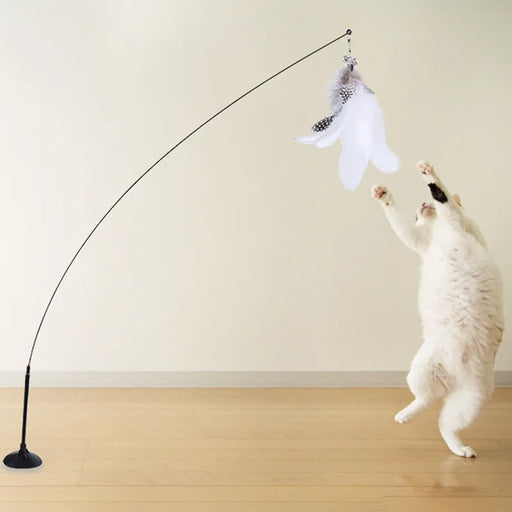 
https://purrfectlypetty.org › products › cat-toys-interactive-cat-toy-steel-wire-feather-toys-for-cats-stick-suction-cup-feather-cats-toy-with-bell-teaser-pet-products