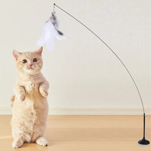 
https://purrfectlypetty.org › products › cat-toys-interactive-cat-toy-steel-wire-feather-toys-for-cats-stick-suction-cup-feather-cats-toy-with-bell-teaser-pet-products