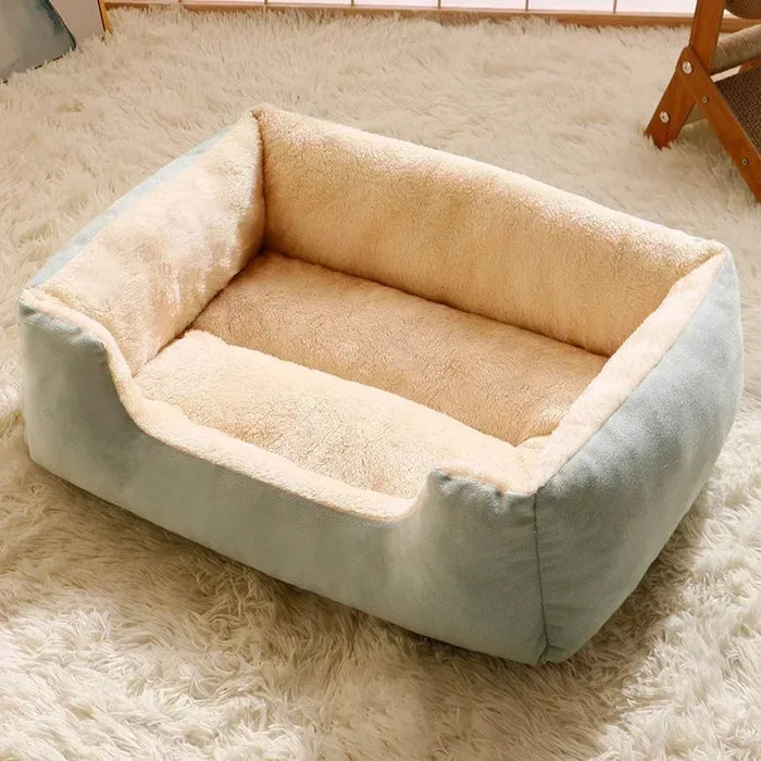 
https://purrfectlypetty.org › products › bed-for-cats-pet-products-cushions-kitten-goods-accessories-dog-all-houses-supplies-things-accessory-habitats-basket-house-beds