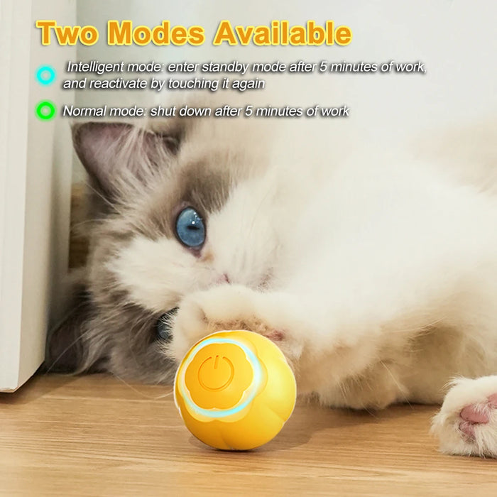 
https://purrfectlypetty.org › products › smart-automatic-rolling-cat-ball-toys-usb-charging-electric-toys-for-cats-kitten-pet-products-accessories-for-dropshipping