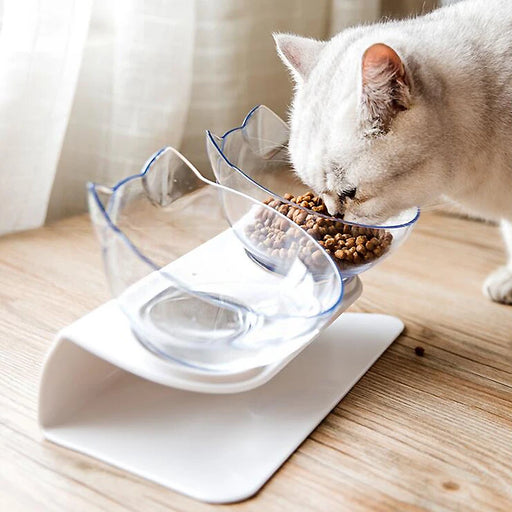 
https://purrfectlypetty.org › products › non-slip-double-cat-bowl-dog-bowl-with-stand-pet-feeding-cat-water-bowl-for-cats-food-pet-bowls-for-dogs-feeder-product-supplies