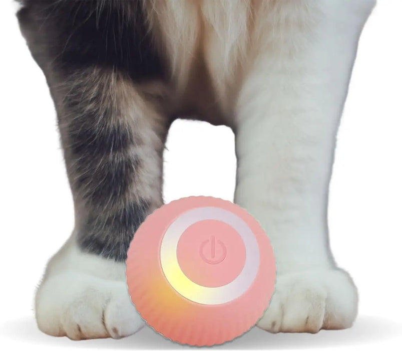 
https://purrfectlypetty.org › products › smart-cat-toy-gravity-smart-rolling-ball-indoor-interactive-cat-toy-automatic-pet-sports-toy-cat-toy-automatic-cat-toy