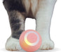 
https://purrfectlypetty.org › products › smart-cat-toy-gravity-smart-rolling-ball-indoor-interactive-cat-toy-automatic-pet-sports-toy-cat-toy-automatic-cat-toy