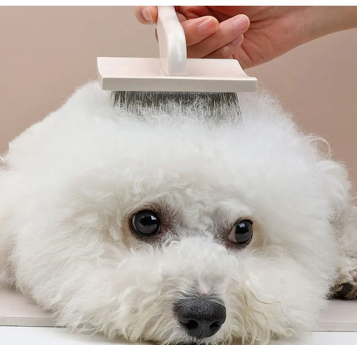 Pet Hair Removal Comb Cleaning And Brush Massage Bath Brush